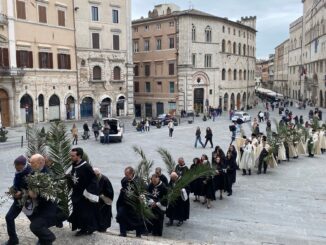 Fede e ulivo: celebrazione della Domenica delle Palme