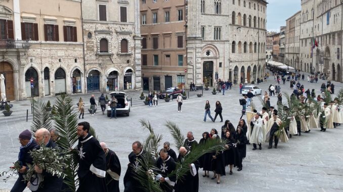 Fede e ulivo: celebrazione della Domenica delle Palme