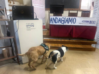 Lo Sportello a 4 Zampe partecipa alla formazione Randagiamo