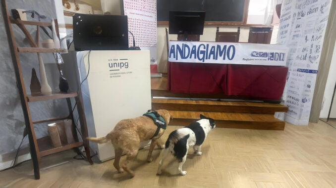 Lo Sportello a 4 Zampe partecipa alla formazione Randagiamo