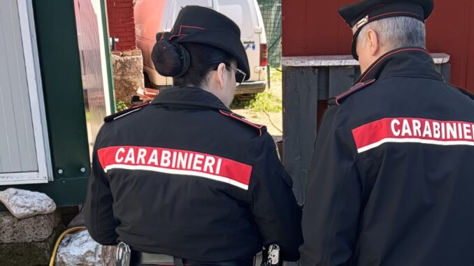 Sospesa attività agricola a Spoleto, sequestrati alimenti