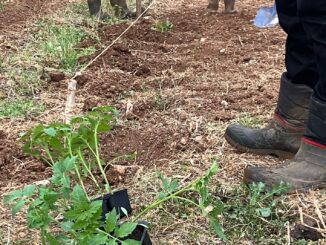 Centro diurno per giovani con disagio a Strettura di Spoleto