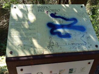 Vandalismo al Parco degli Olivi di Todi: Presentata Denuncia