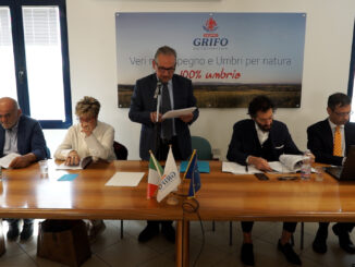 Grifo Agroalimentare approva il bilancio 2024