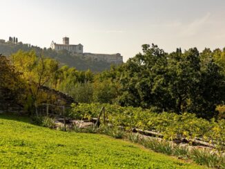 FAI celebra la biodiversità con visite in tutta Italia