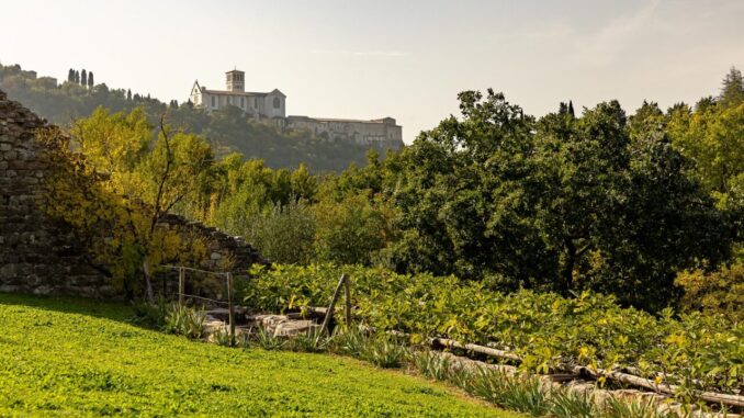 FAI celebra la biodiversità con visite in tutta Italia