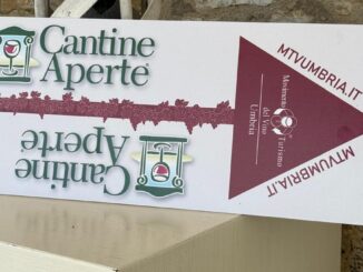 A Cantine Aperte 2025 successo di presenze nelle 44 cantine umbre