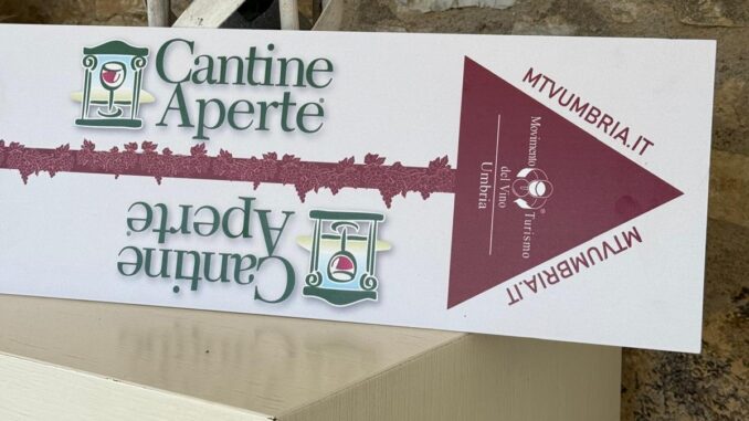 A Cantine Aperte 2025 successo di presenze nelle 44 cantine umbre