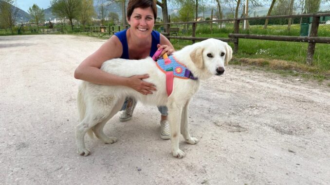 Chloe è svanita nel nulla, per piacere, aiutateci a ritrovarla