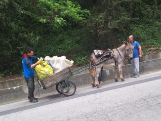 Successo per la Giornata ecologica a Montegrillo