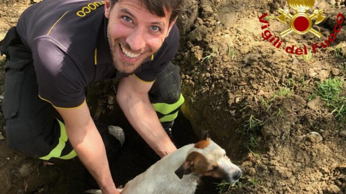 Cane cade in uno scolo fognario, salvato dai Vigili del Fuoco