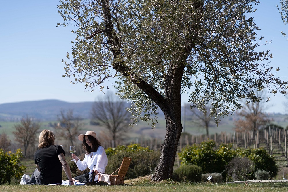 Mtv Umbria presenta Cantine Aperte 2025: 44 cantine pronte ai visitatori