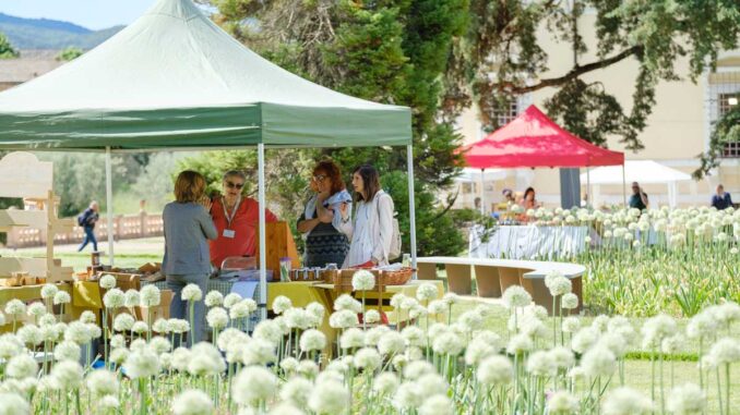 Grande successo per la quarta edizione de La Spesa nell’Orto 