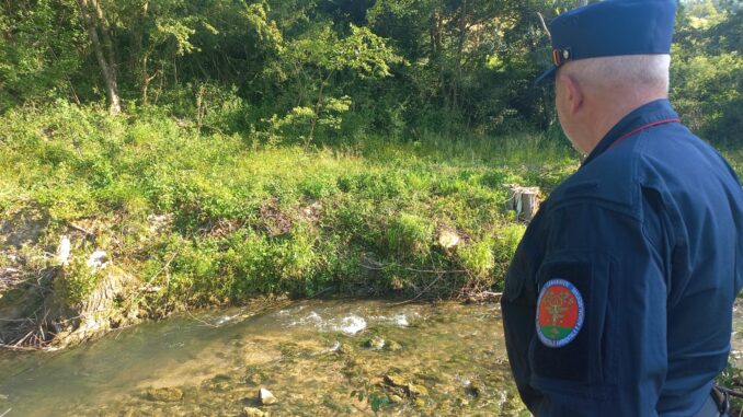 Tagli irregolari sul Rasina, una denuncia in Umbria