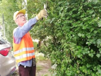 Giacomo Cruciani cura il parco Pascoletti a 86 anni senza sosta
