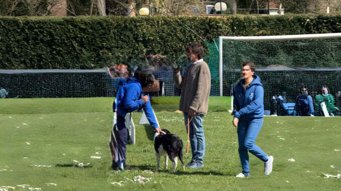 Terza Giornata del Cinofilo anticipata al mattino ad Amelia