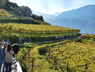 Giornata Mondiale della Gastronomia Sostenibile - 18 giugno 2025