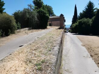 Erbacce rimosse dal percorso tra via Primavera e Stoppani