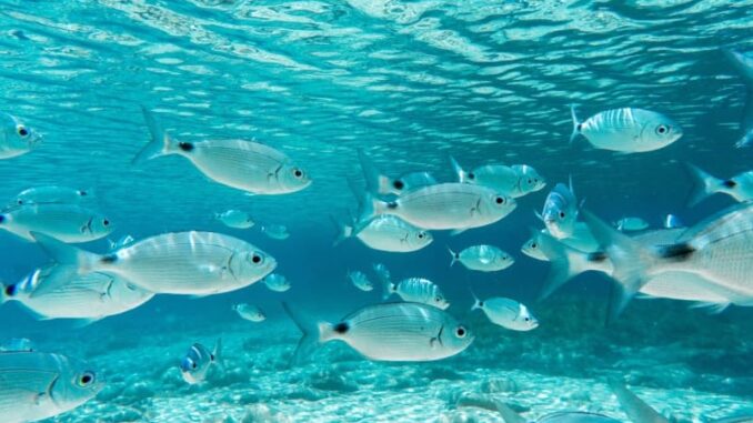 Umbria, rinnovata la vigilanza ambientale con Terni