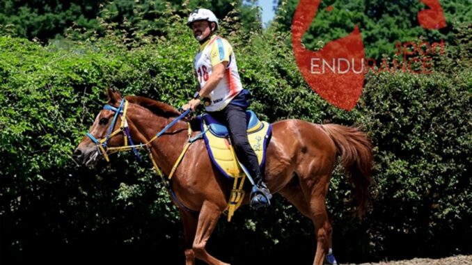 Endurance internazionale, 200 cavalli in Altotevere