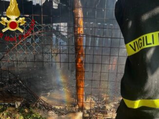 Fiamme a Gubbio, due cani morti nell’incendio di un canile