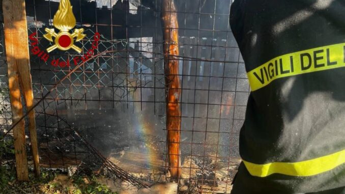 Fiamme a Gubbio, due cani morti nell’incendio di un canile