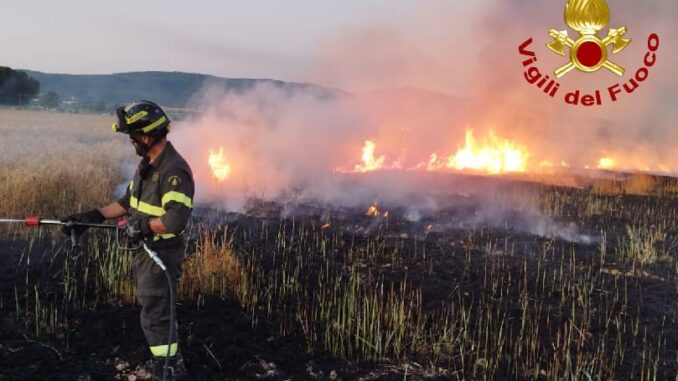Incendio in campo d’orzo a Terni, paura a Sabbione