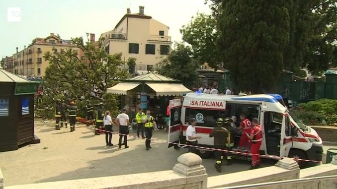 Venezia: coppia salva donna da albero caduto