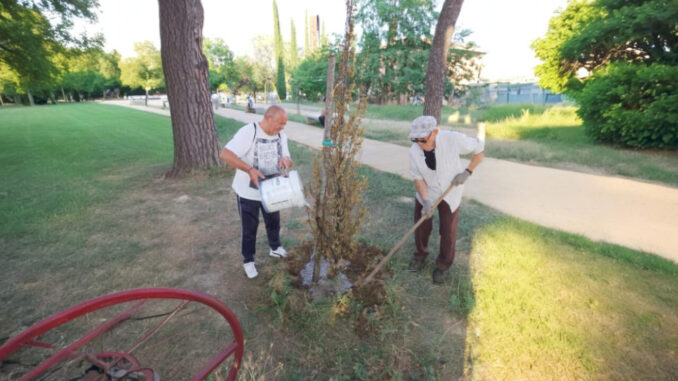 Acqua agli alberi, volontari al Parco Pascoletti a Ponte San Giovanni