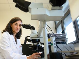 Terapie innovative in ematologia a Perugia il 20 giugno