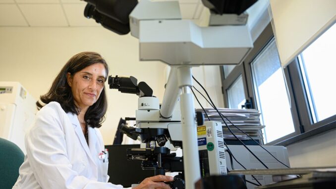 Terapie innovative in ematologia a Perugia il 20 giugno