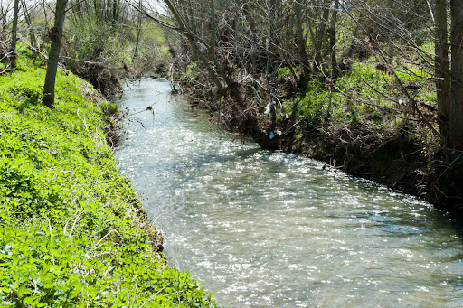 Alluvione: interrogazione regionale su caina e oscano