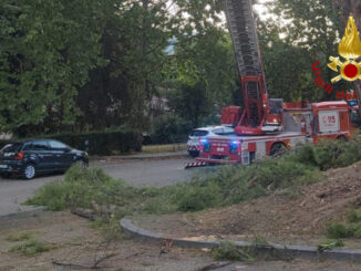 Ramo crolla nella notte a Terni, danneggiate alcune auto
