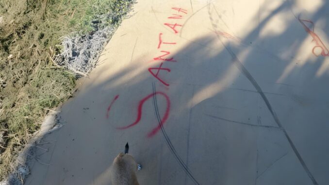 Telecamere anti-vandalismo in arrivo a Ponte San Giovanni