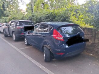 Auto danneggiate di notte in via Dal Pozzo