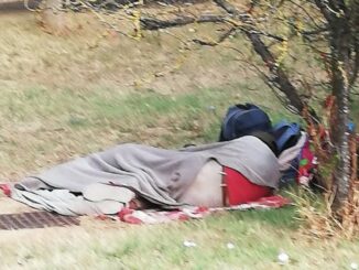 Bivacco al Parco Pascoletti. Due corpi addormentati nel verde