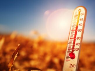 Traffico in crescita, bollino rosso su strade e autostrade