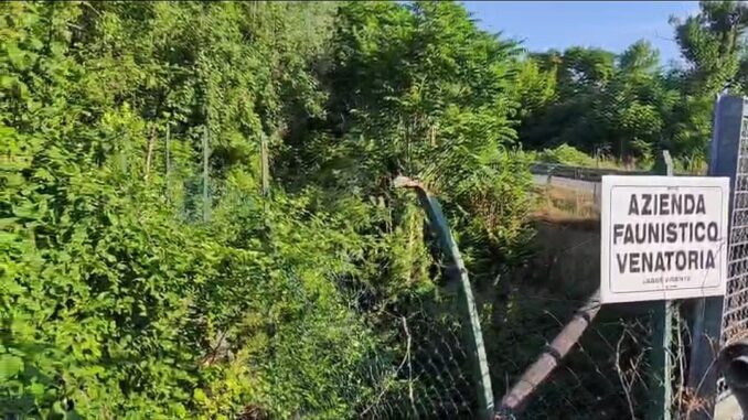 Allarme sul Cestola, rischio idraulico senza risposte