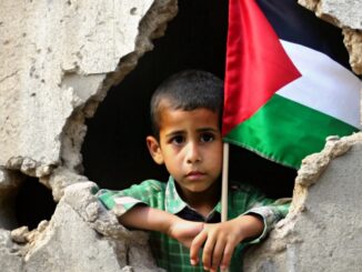 Mozione approvata: stop cooperazione militare con Israele