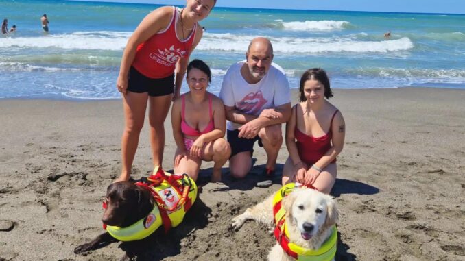 Due cani salvano famiglia trascinata dalla corrente al mare