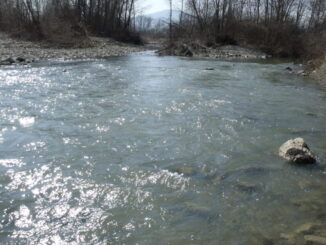 Francesco Filipponi (Pd) interviene sul progetto della diga del fiume Paglia