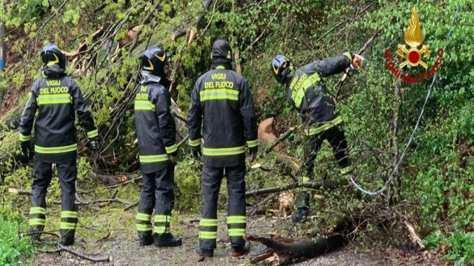 Maltempo su Castiglione, fulmine scatena incendio boschivo