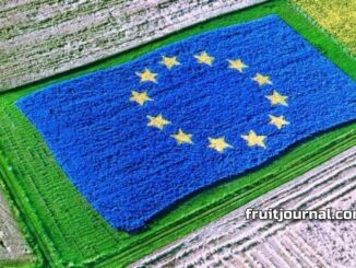 Umbria contro l’ipotesi Ue di accorpare fondi agricoli