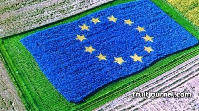 Umbria contro l’ipotesi Ue di accorpare fondi agricoli