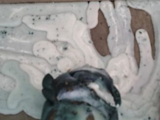 Resti di riti occulti tra le tombe del cimitero di Terni