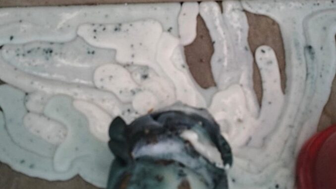 Resti di riti occulti tra le tombe del cimitero di Terni