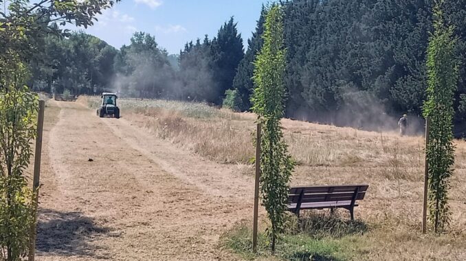 Erba tagliata a Ponte San Giovanni dopo segnalazione