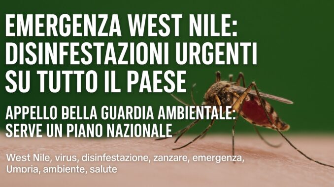 Emergenza West Nile: disinfestazioni urgenti su tutto il Paese
