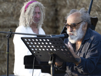 Green Music Festival, settimana intensa tra arte e paesaggi