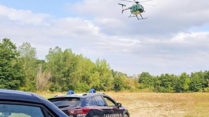 Carabinieri in azione nei boschi, scoperti bivacchi e droga
